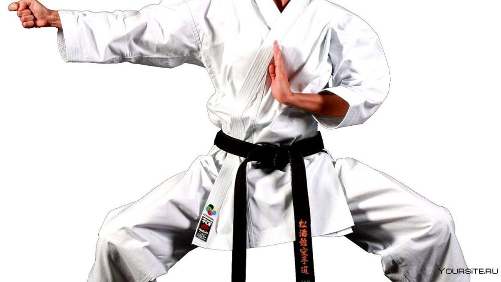 Восточные единоборства