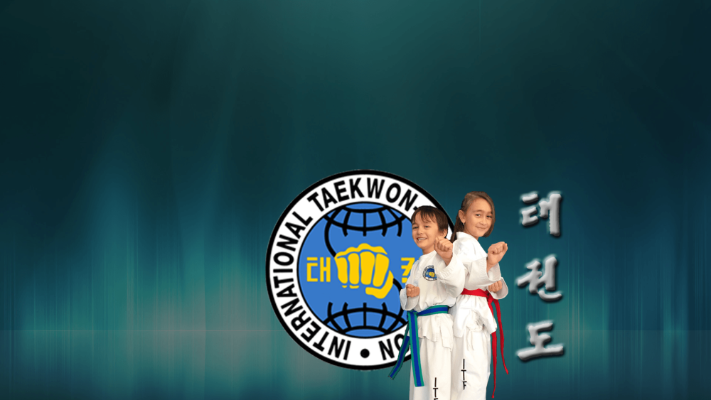 Баннер тхэквондо ИТФ