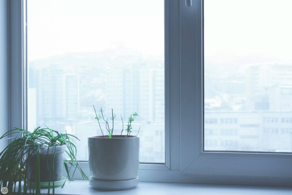 Пластиковое окно