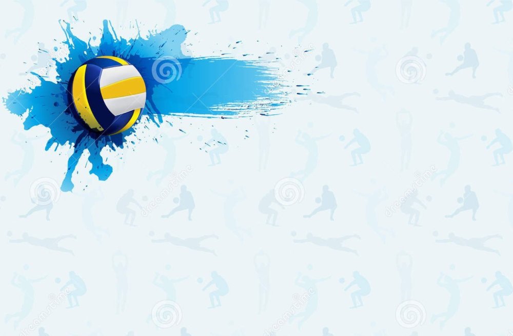 Волейбольная сетка Demix