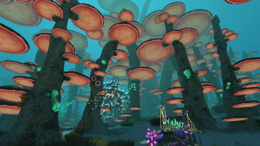 Грибной биом Subnautica