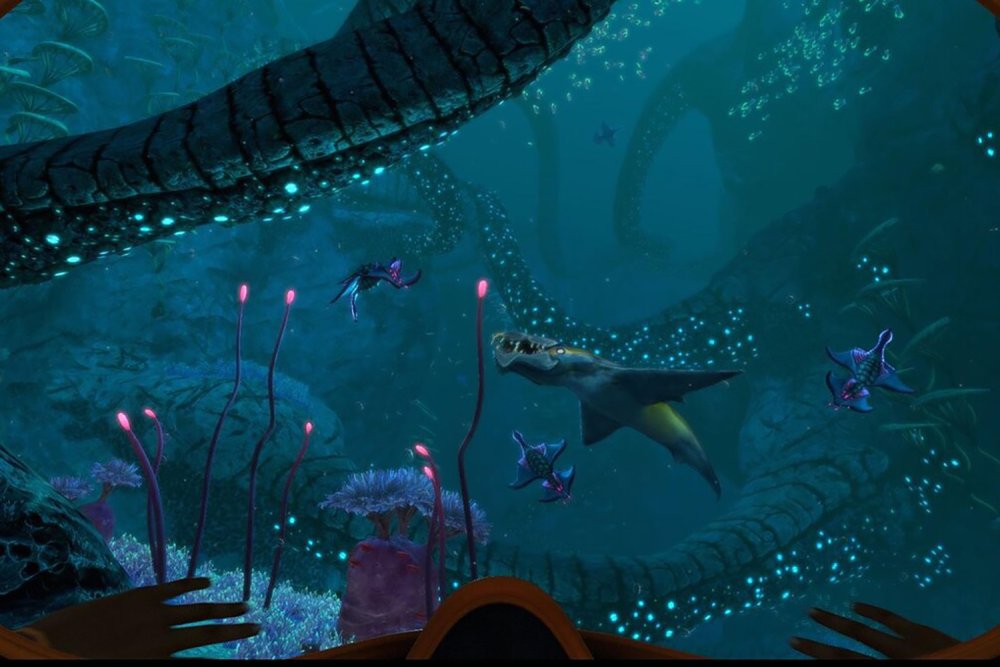 Редкий риф в Subnautica