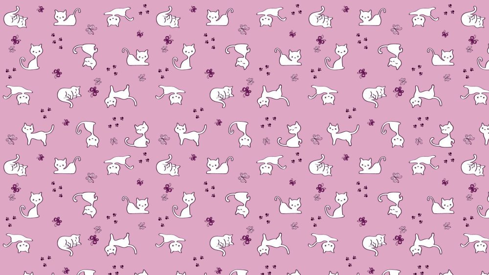 Котик на розовом фоне