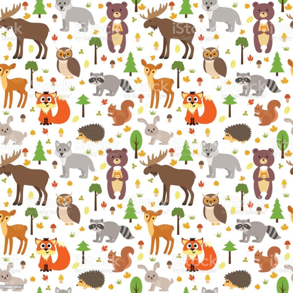 Обложка для зоомагазина