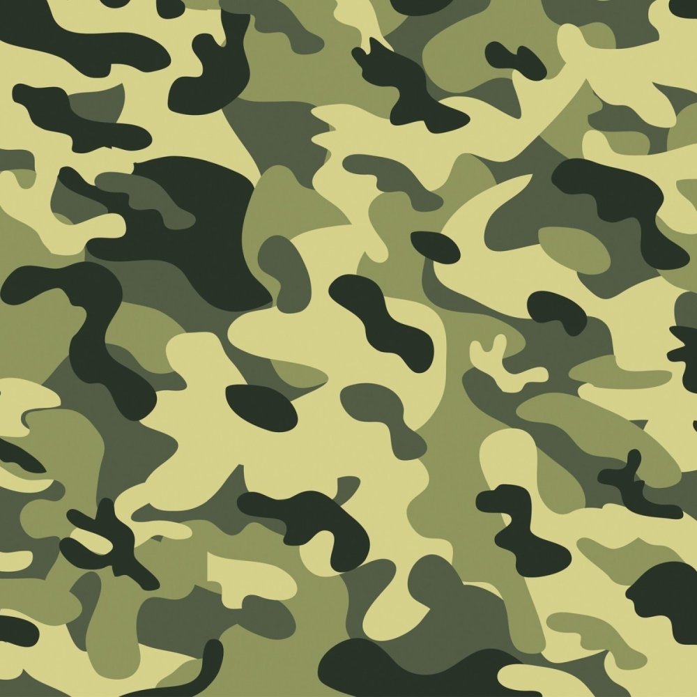 Бледно-зеленый цвет