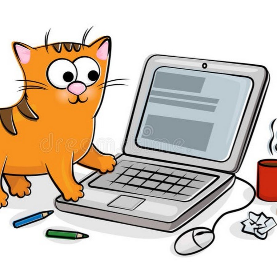 Котик с ноутбуком