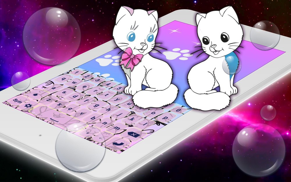 Котик на клавиатуре