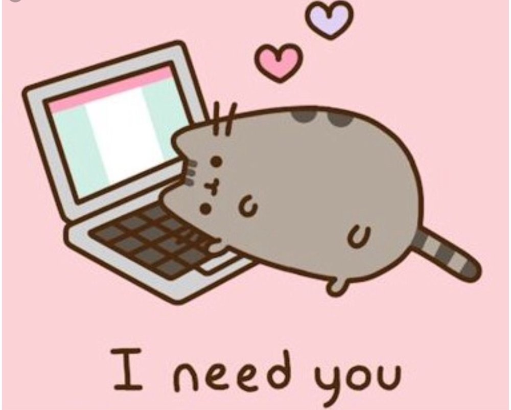 Кот Пушин с компьютером