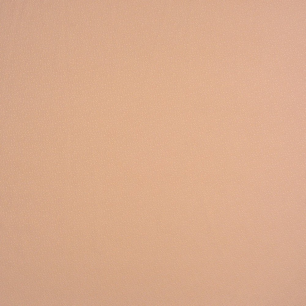 Пастельный бежевый