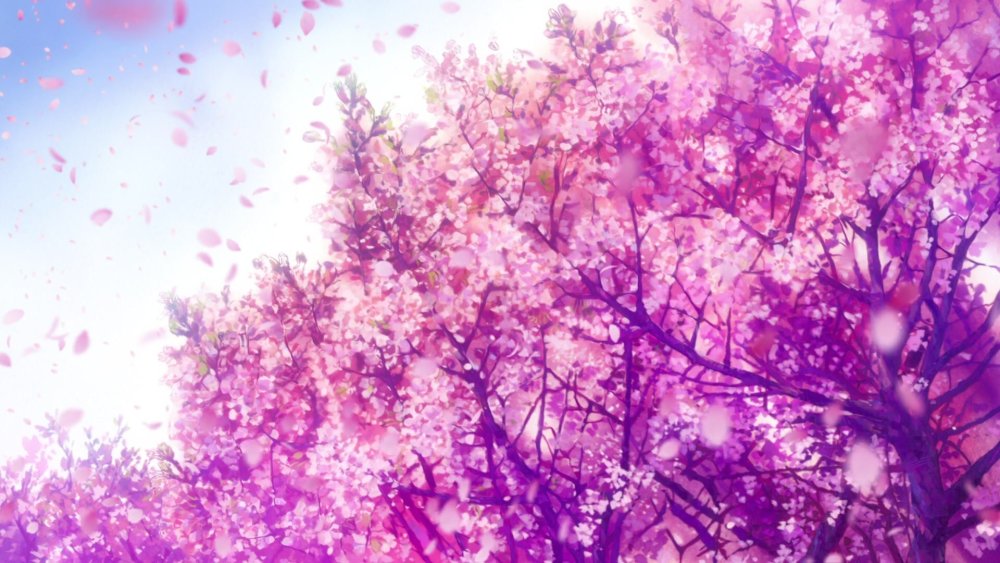 1210x300 Сакура