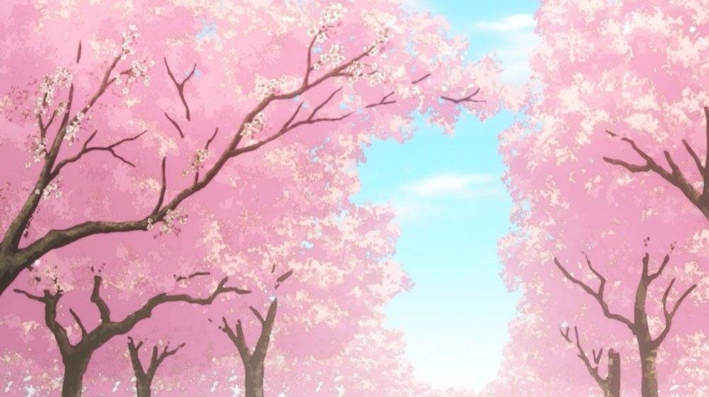 Сакура Геншин фон