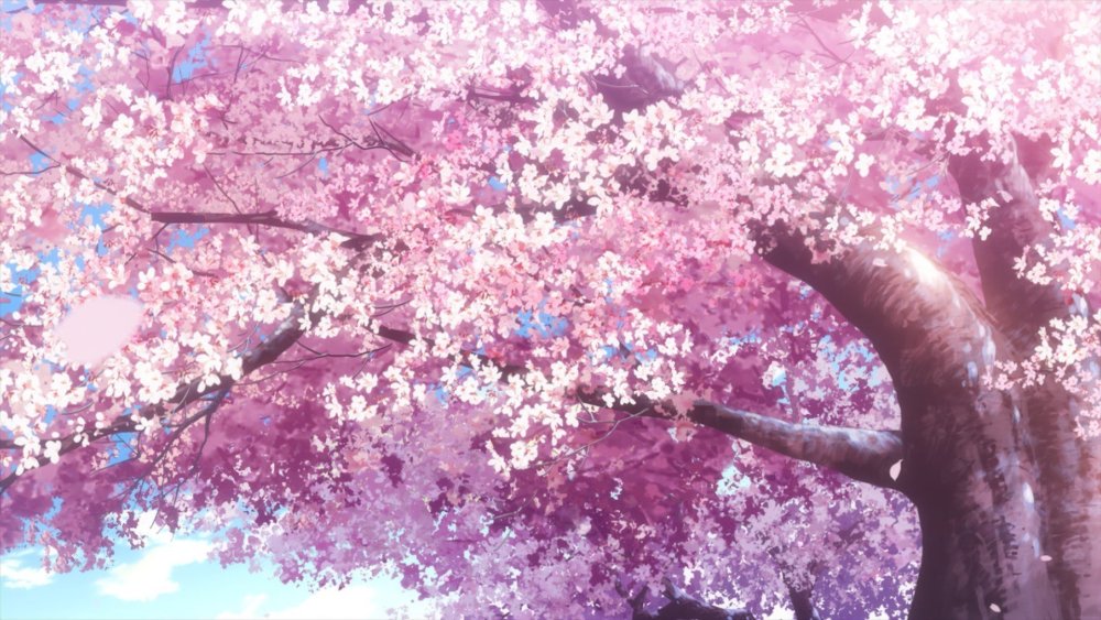 Дерево Сакура гача