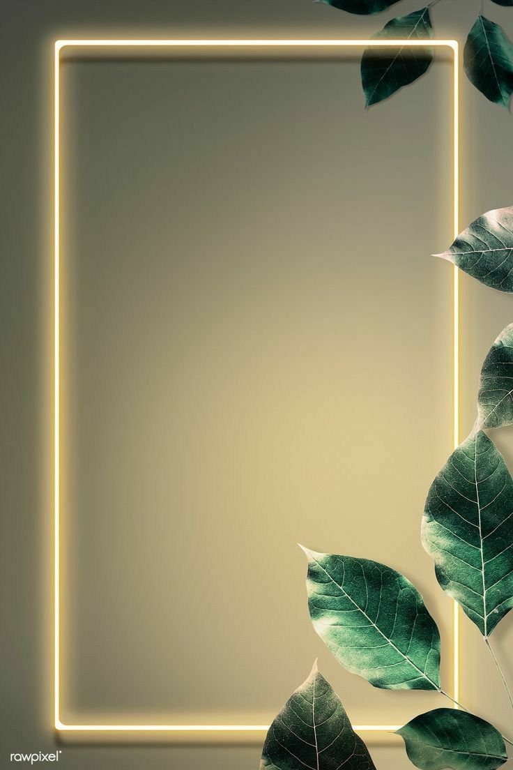 Стильные фоны для инстаграмма