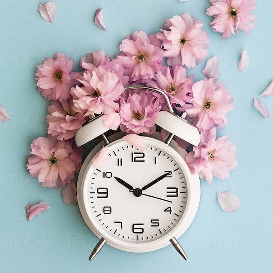 Свободные часы