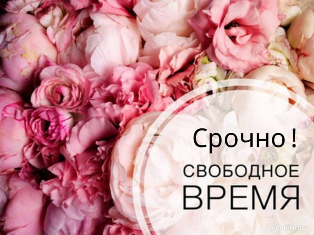 Стиль флэт Лэй