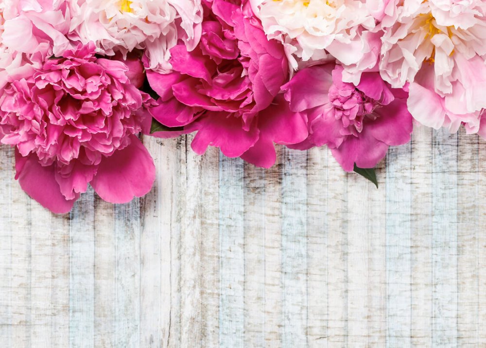 Свободные окошки