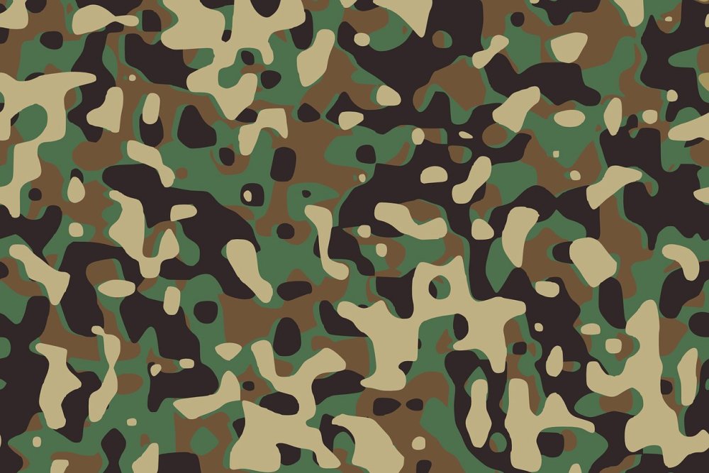 Цвет хаки цвет хаки камуфлированные
