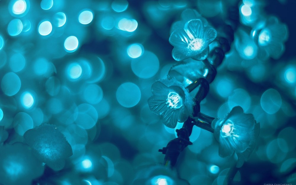 Бирюзовые цветы