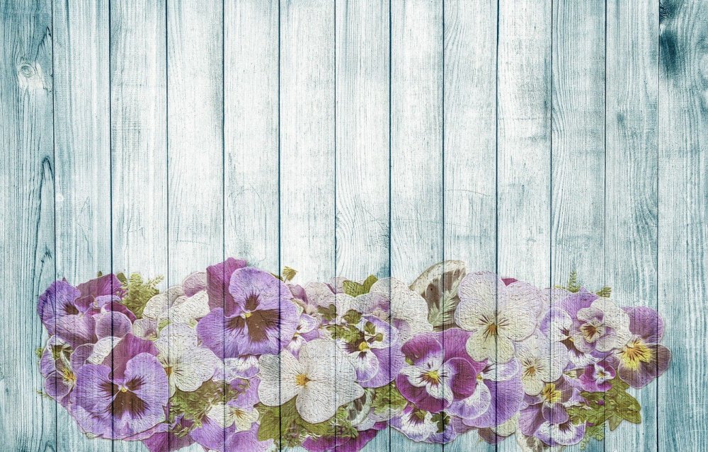 Фон в стиле Прованс