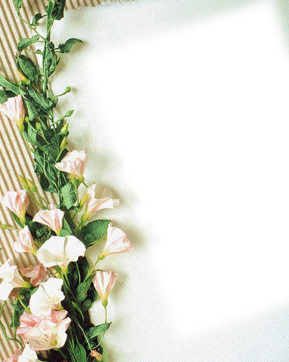 Цветочные рамки для подложки