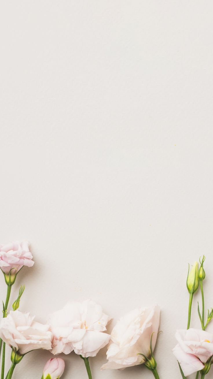 Фон для сторис нежный