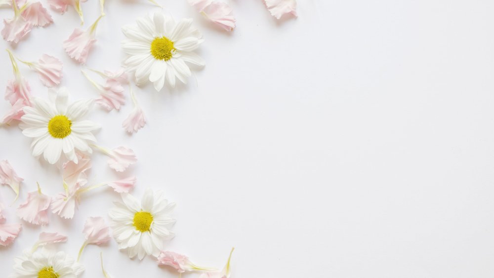 Подложка цветы