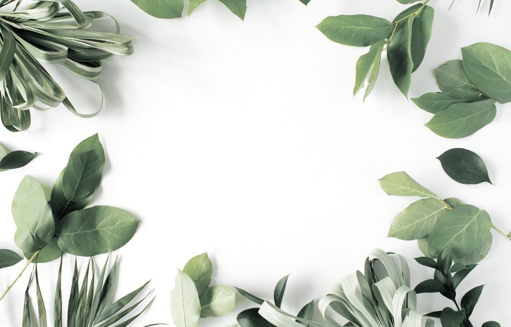 Бэкграунд с листочками оливковые оттенки