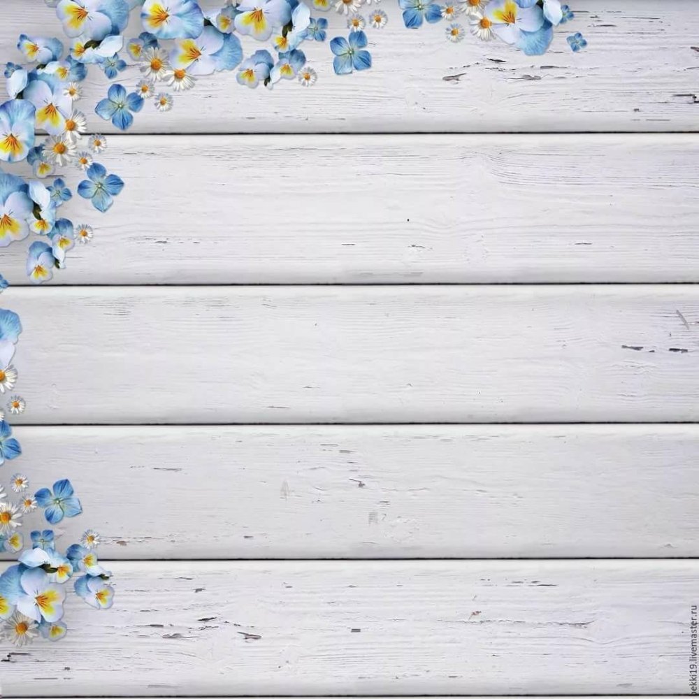 Фотофон для предметной съемки