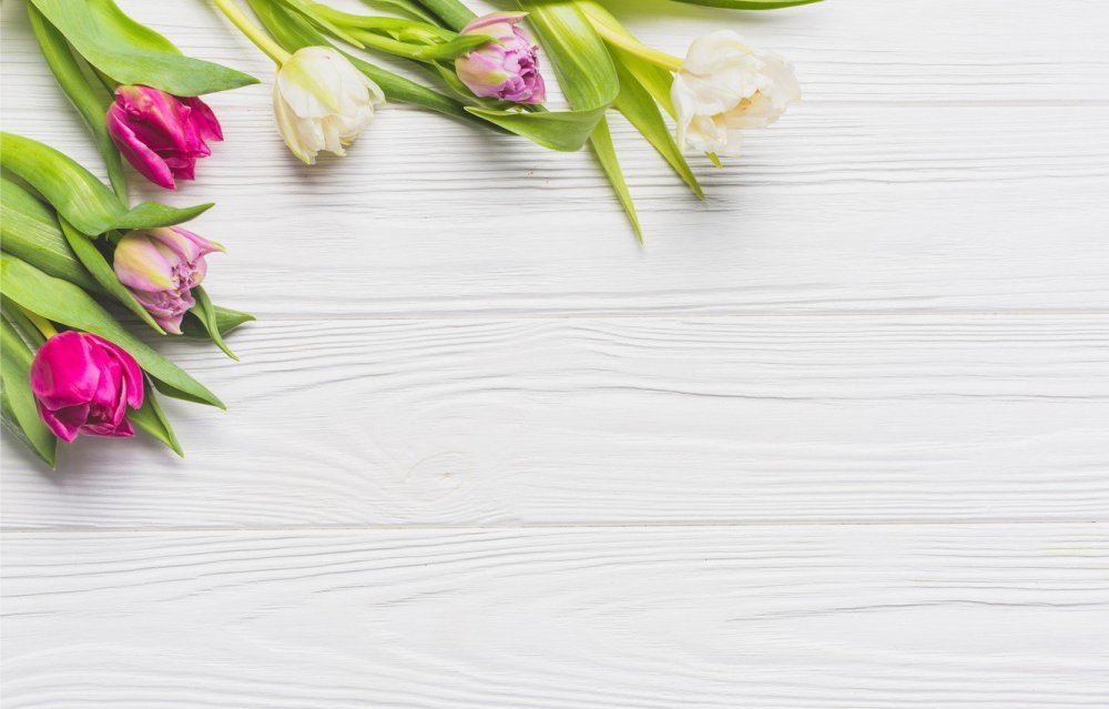 Тюльпаны фон