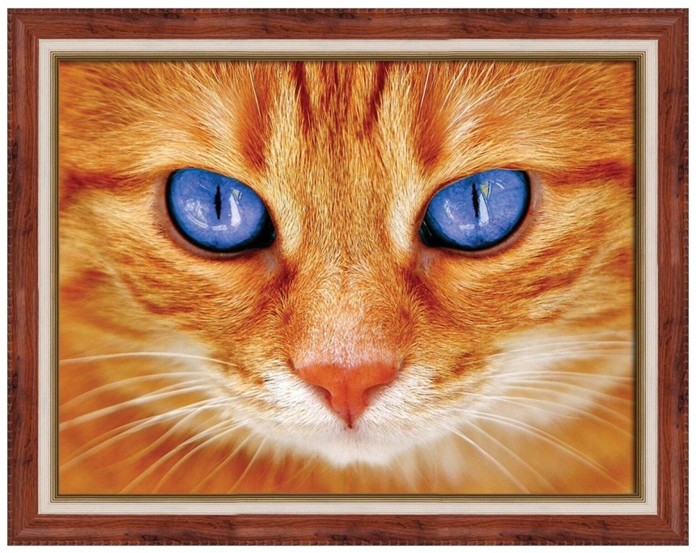 Алмазная живопись набор алмазной вышивки Синеглазый кот (аж-1716) 40х30 см