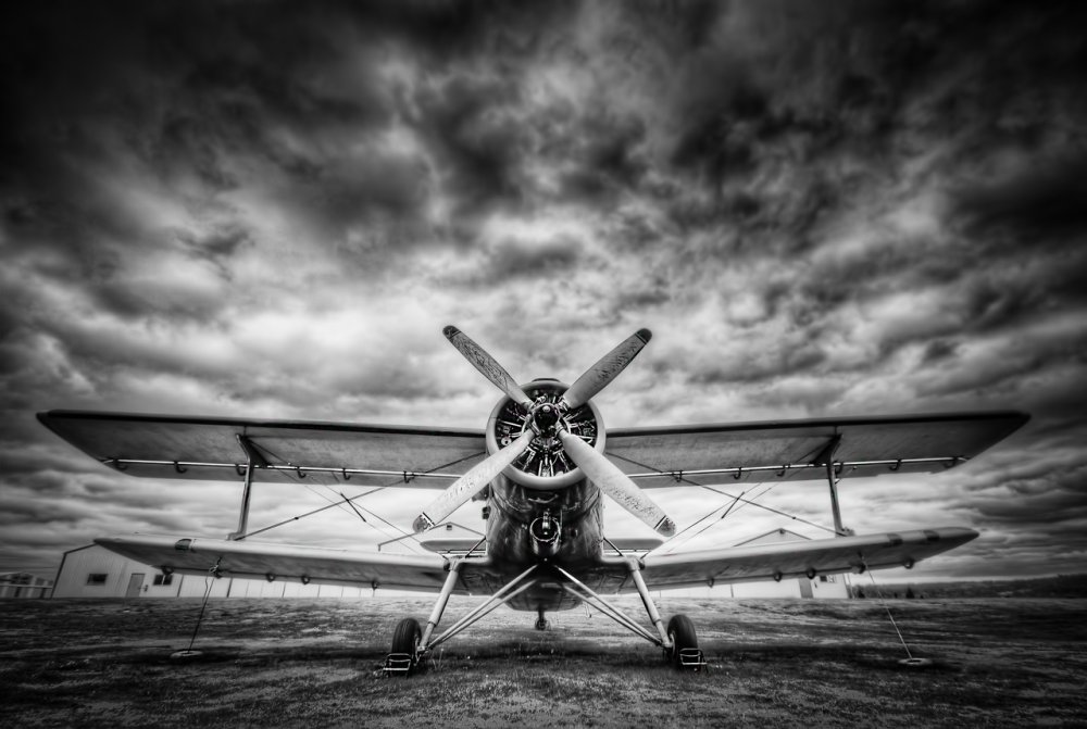 Самолет черно белый