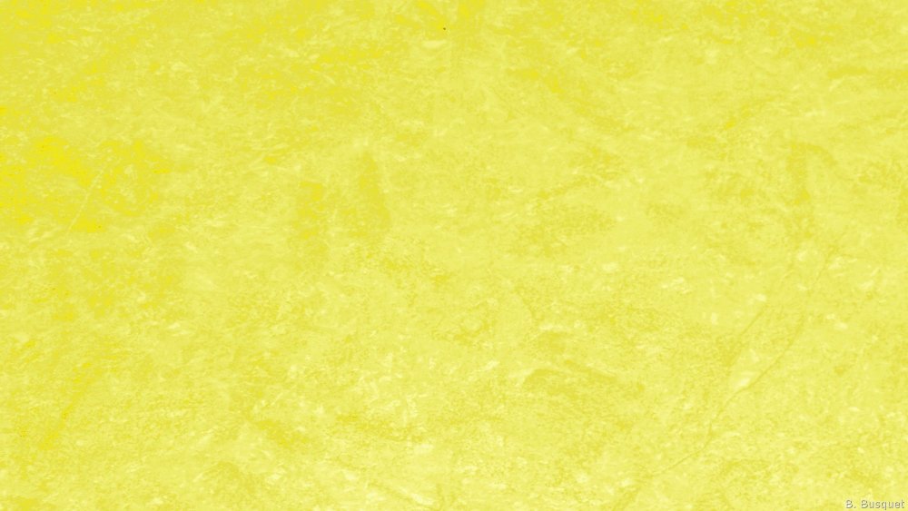 Светло желтый цвет