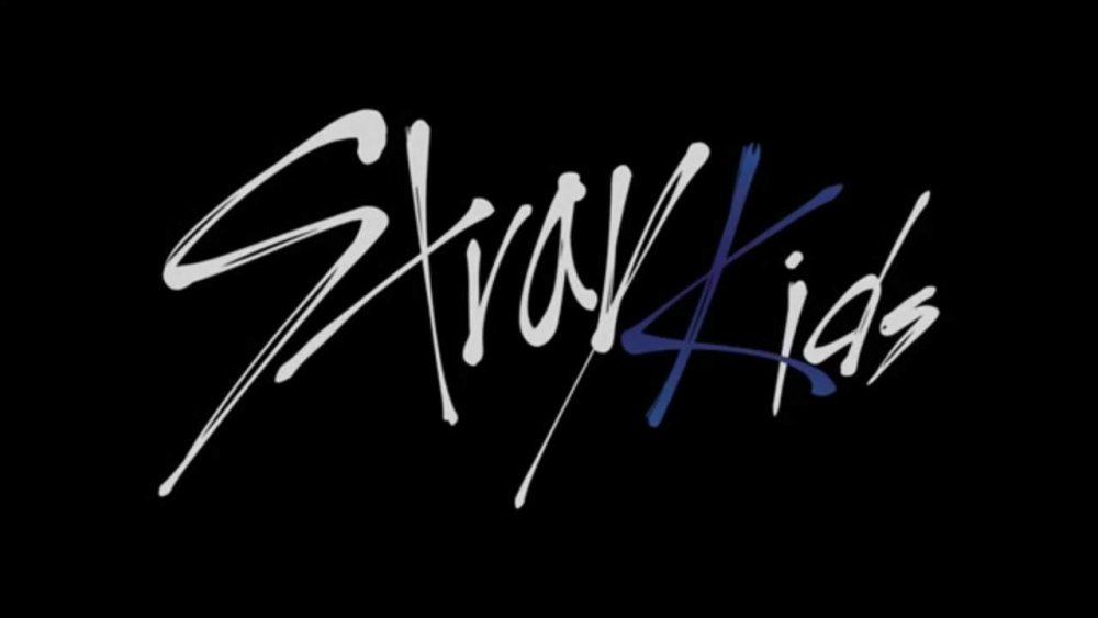 Группа Stray Kids лейбл