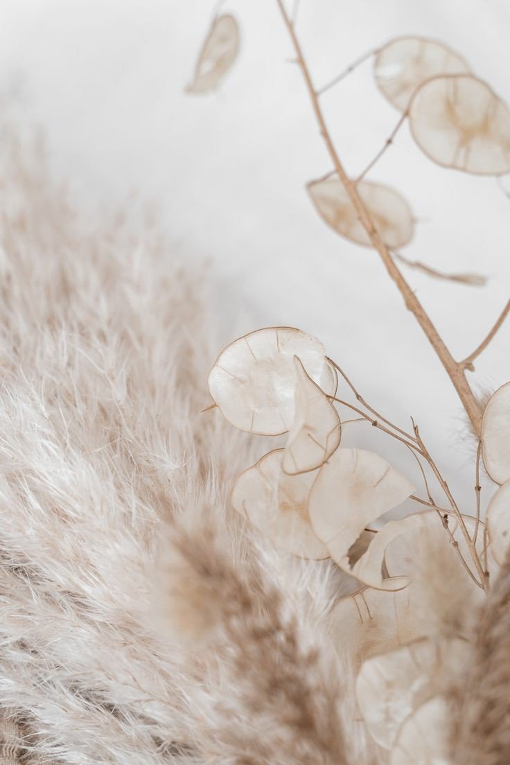 Акварельный фон для сторис