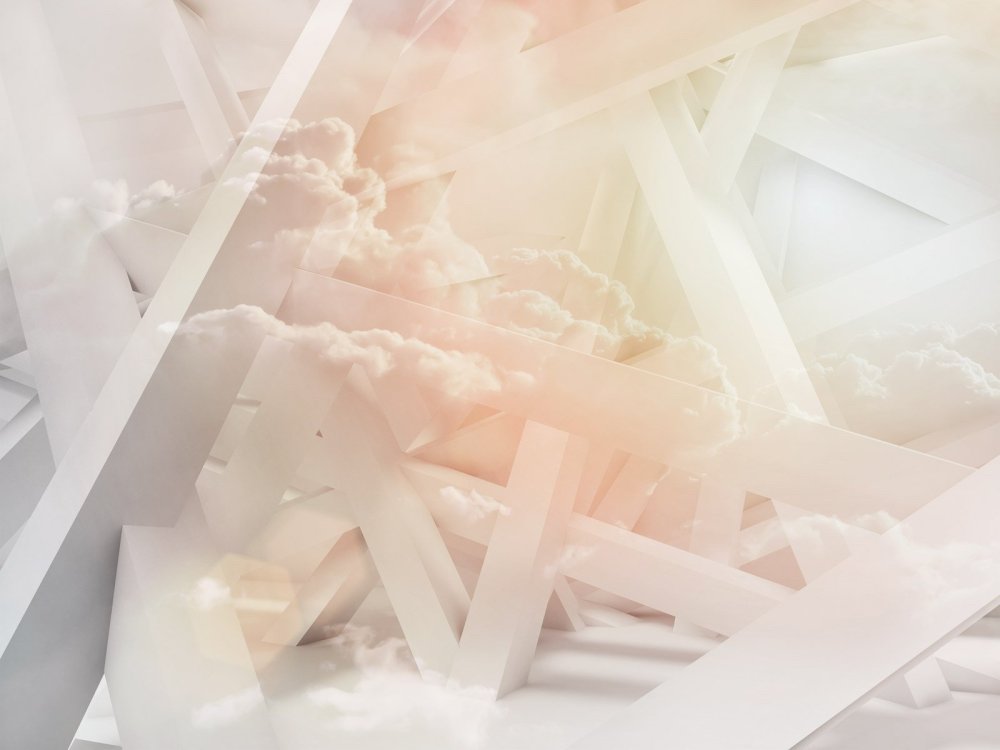 Цветы на Светлом фоне