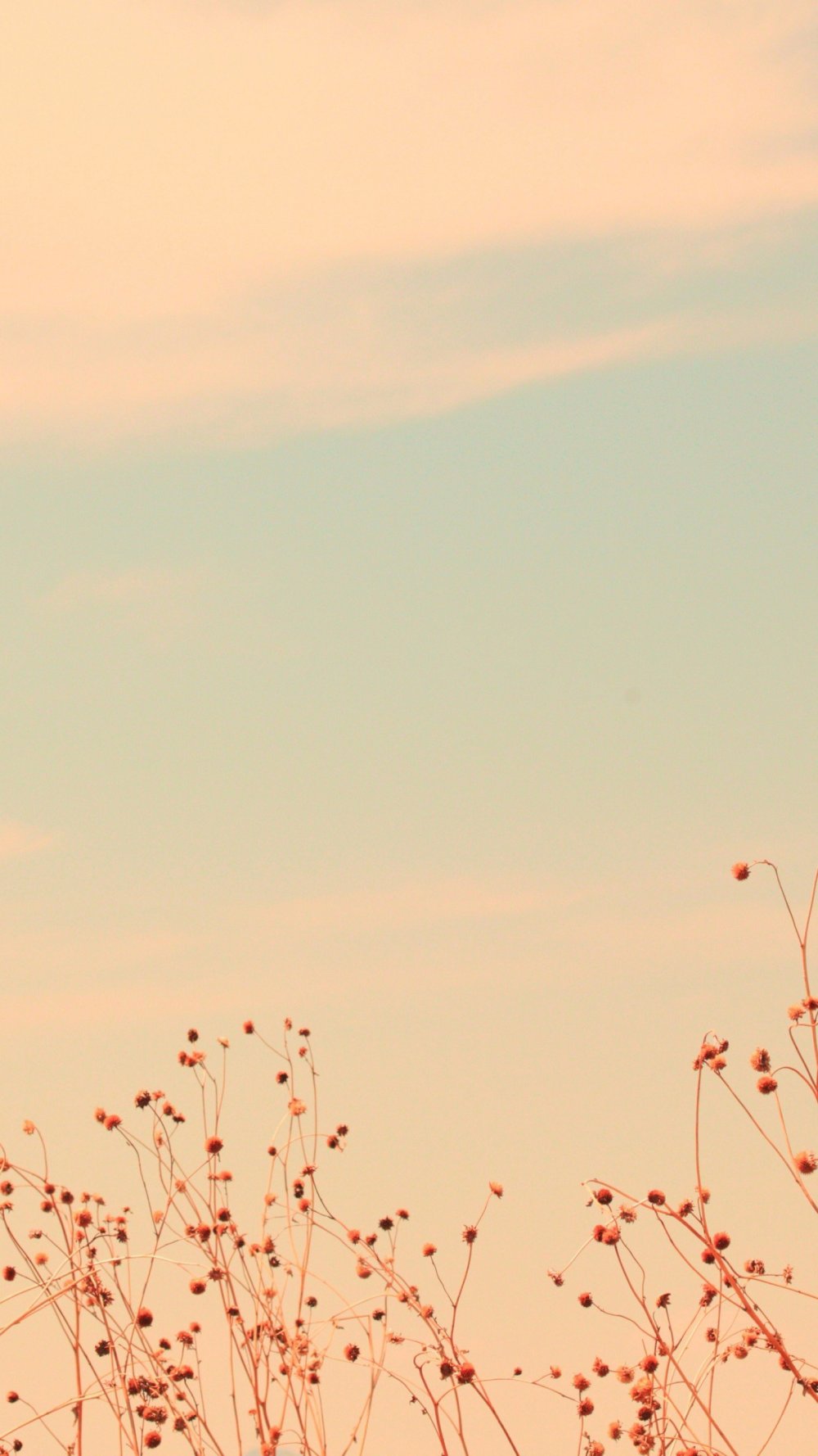 Бежевые обложки для актуального