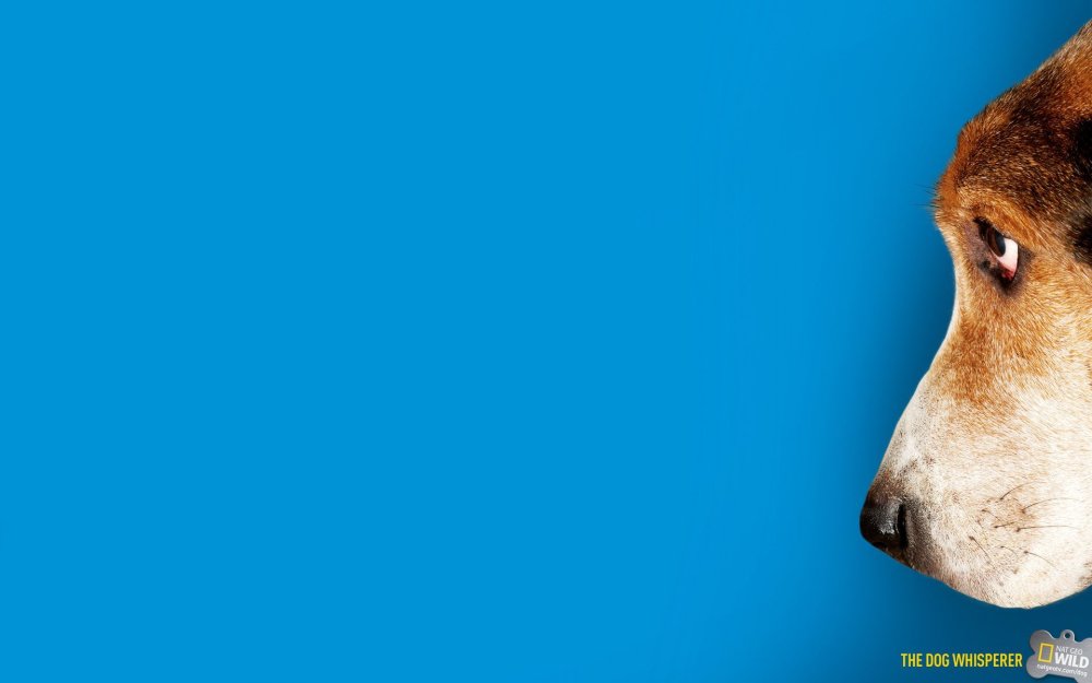 Прикольный фон