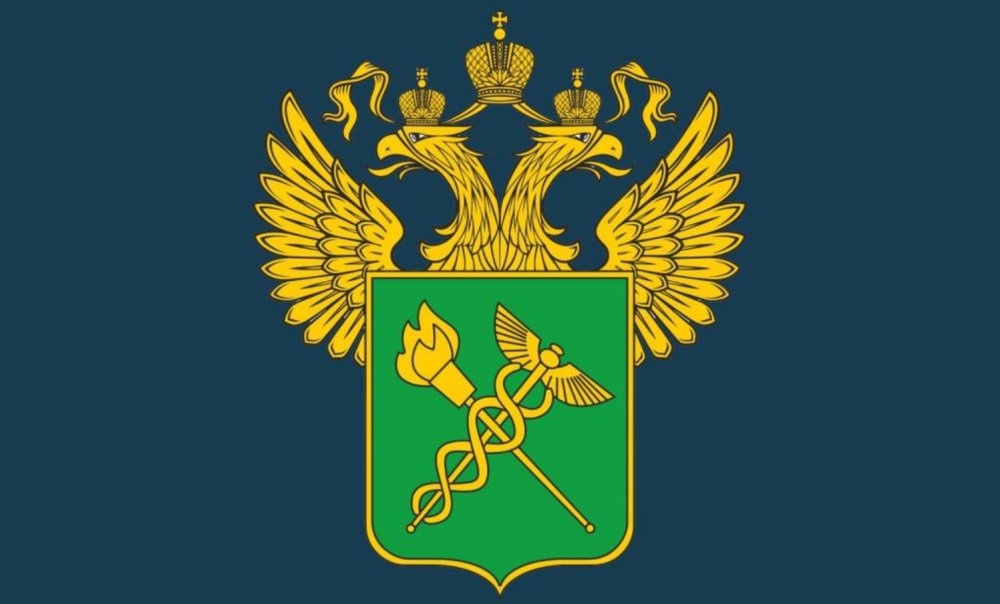 Федеральная таможенная служба России лого