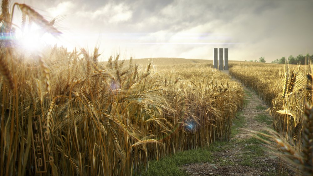 Пшеница арт