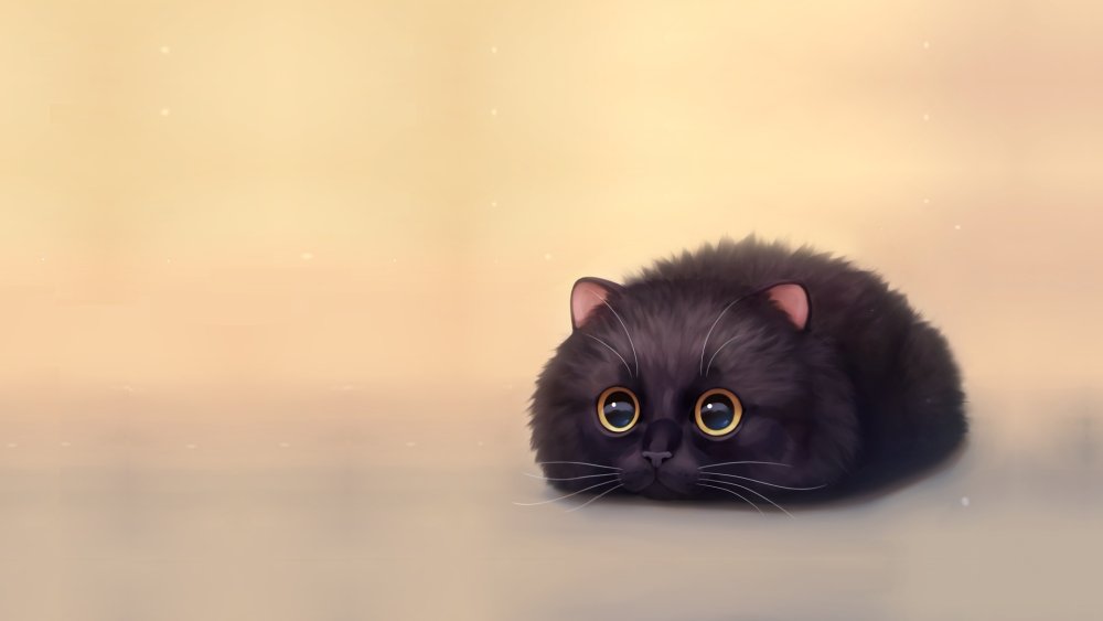 Милые животные на темном фоне