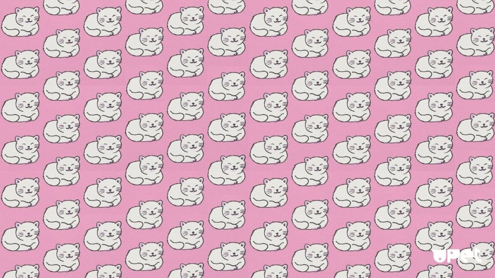 Фон с котиками