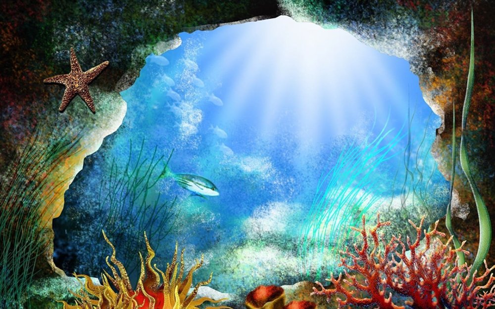 Морские обитатели фон