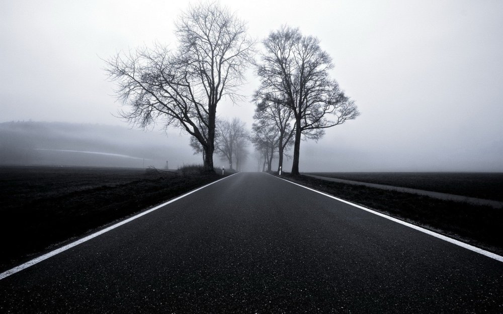 Дорога черное белое