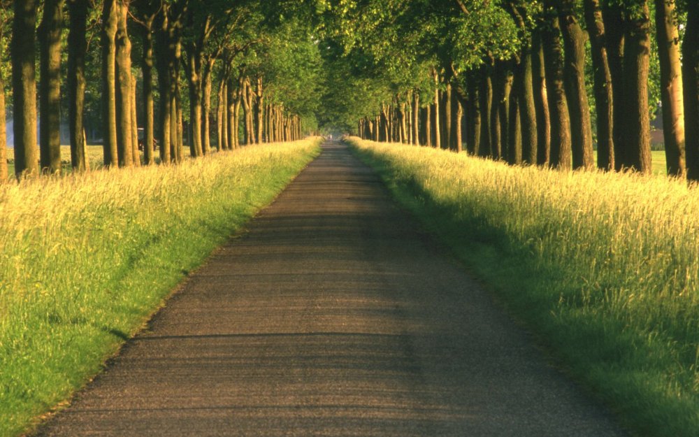 Тропинка уходящая в даль