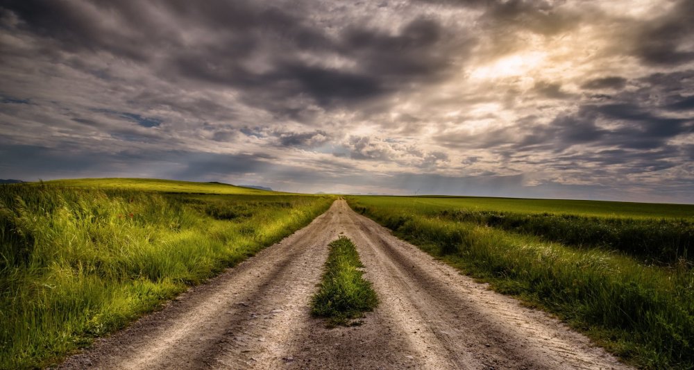 Дорога в поле