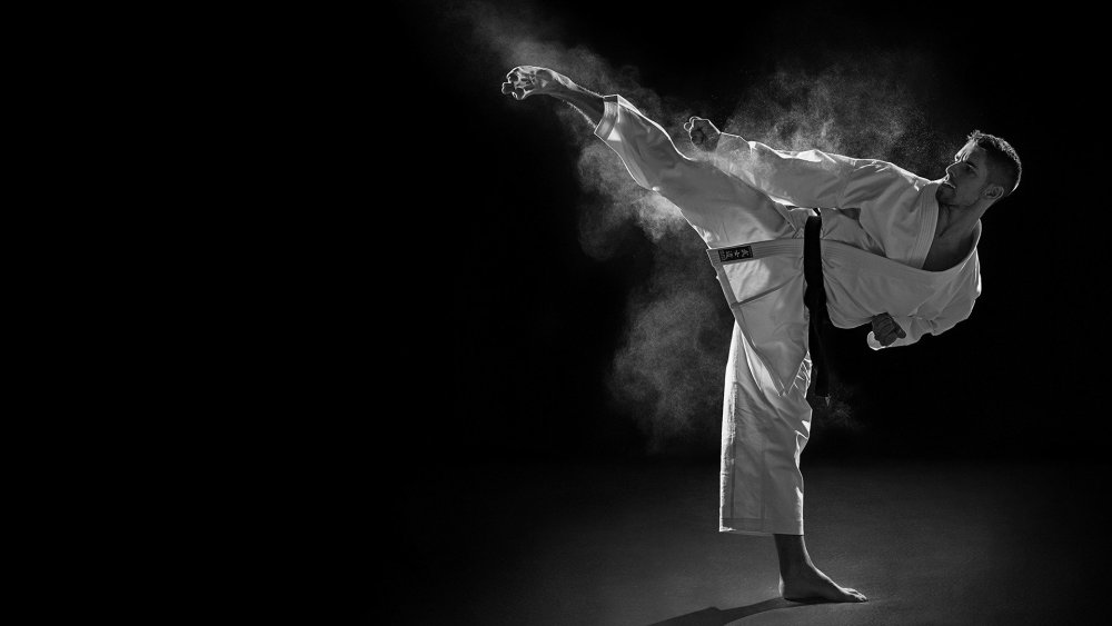 Каратэ киокушинкай Эстетика