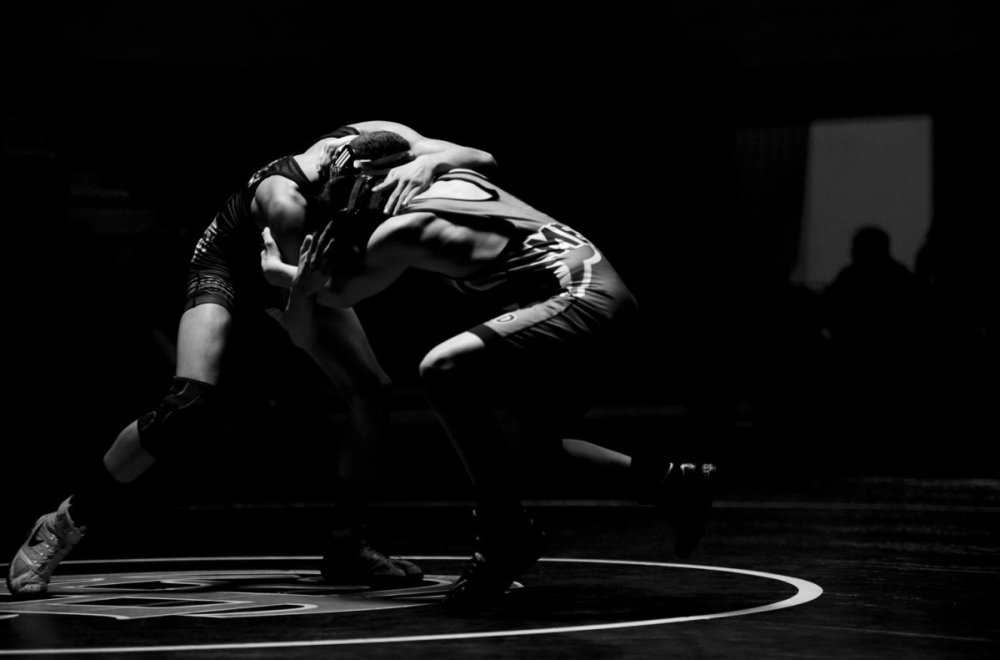 Эстетика вольной борьбы