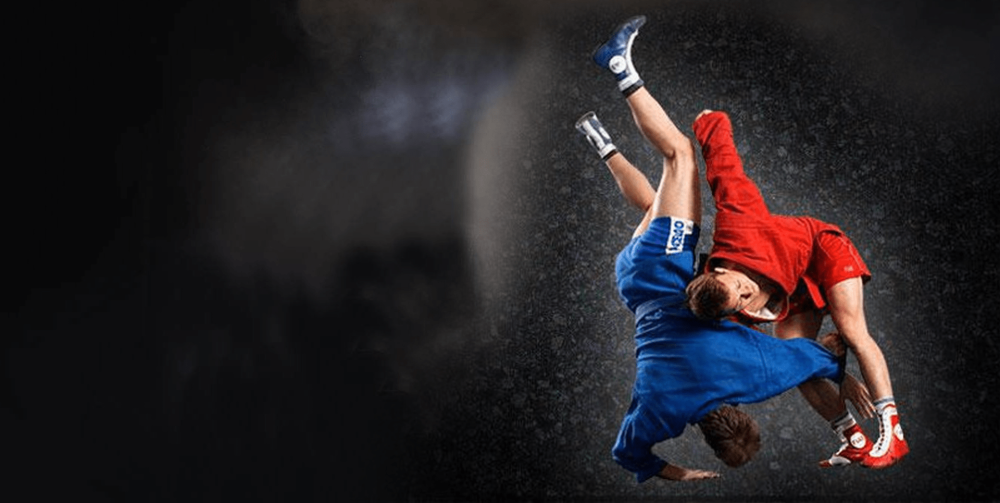 Самбо единоборство