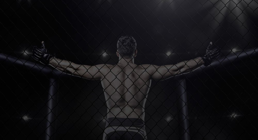 Фон для боя юфс