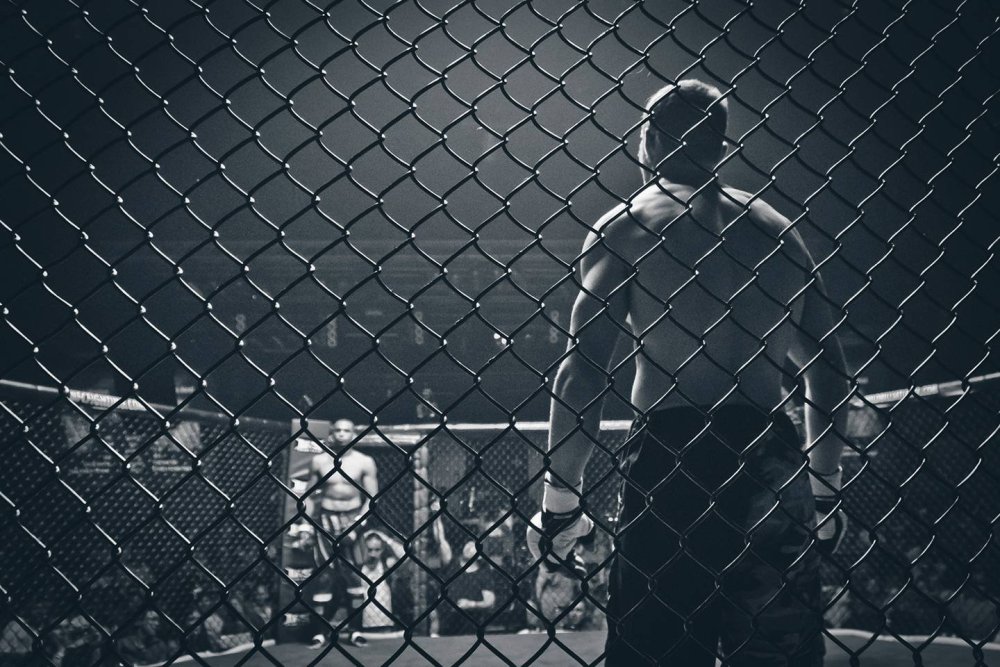 Ум и сердце